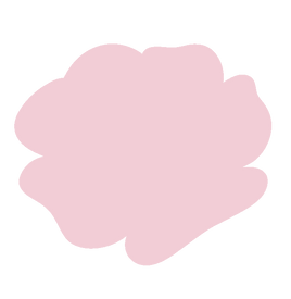 Studio Rose